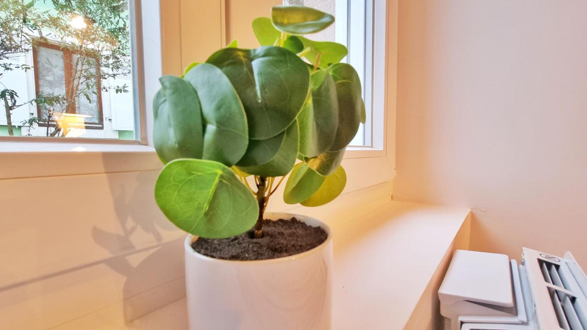 La Buhl Verte - Chic Et Moderne - Calme - Fibre - Relax Bnb Esterno foto
